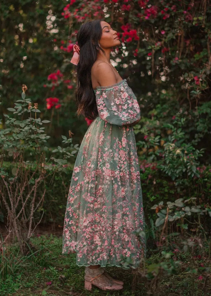Blushing Meadow Dress Sizes 00-34 - Free Shipping